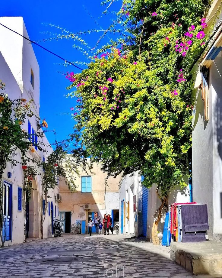 Rue colorée de Houmt Souk à Djerba, maisons blanches et bougainvilliers