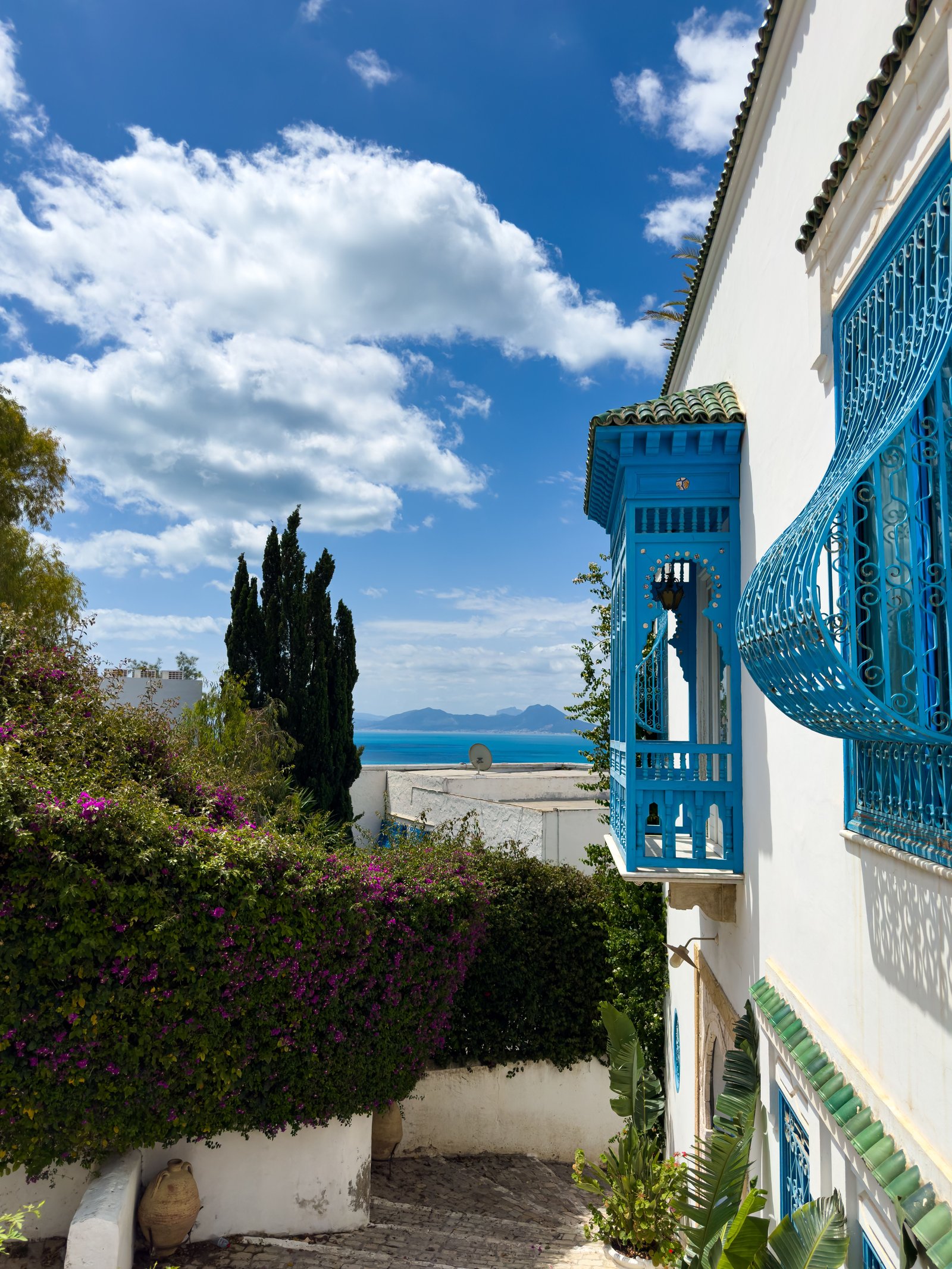 Vue sur la mer depuis Sidi Bou Saïd