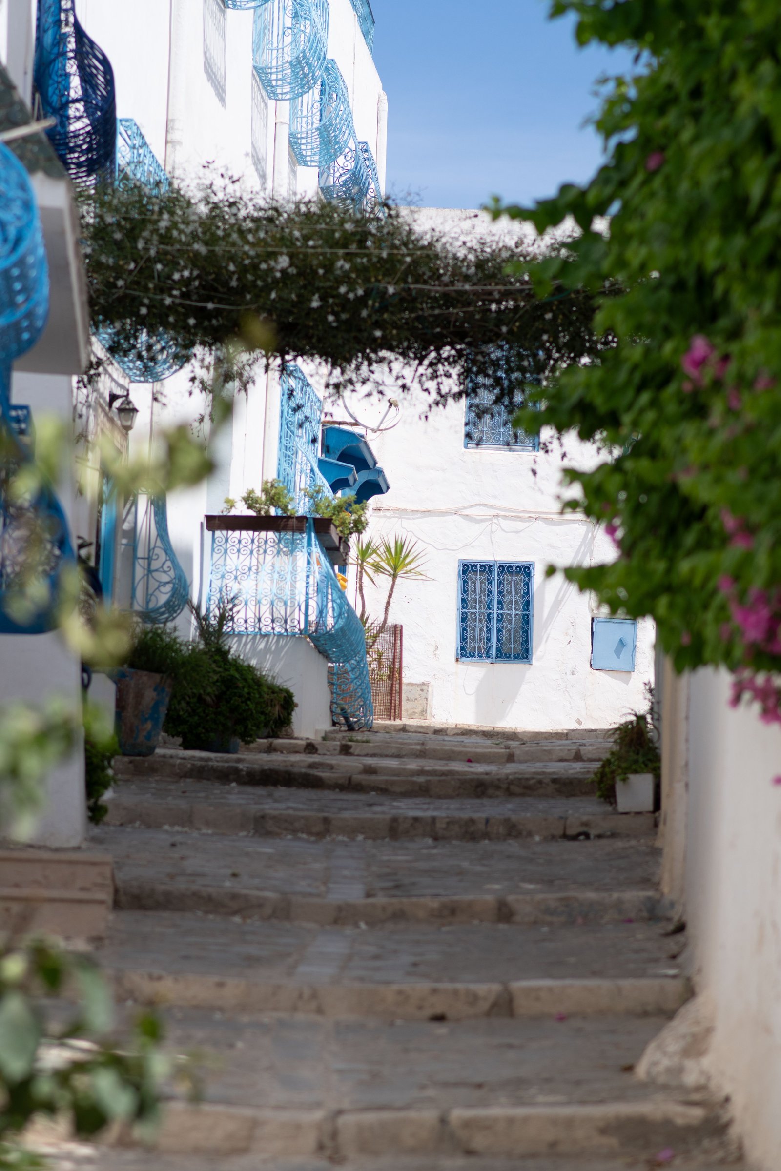 Escaliers et bougainvilliers