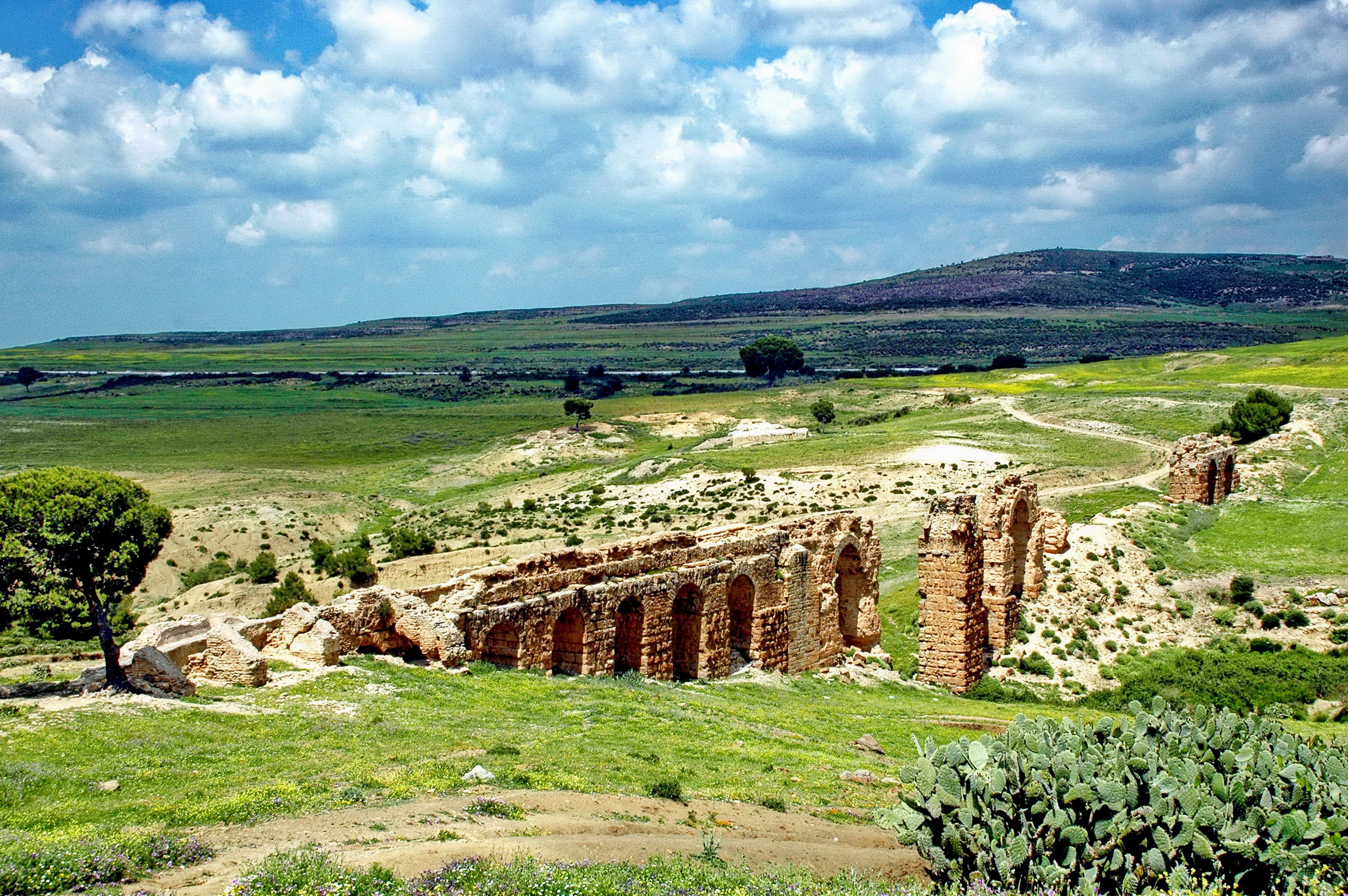 Les arches de l'aqueduc romain de Zaghouan dans la campagne tunisienne